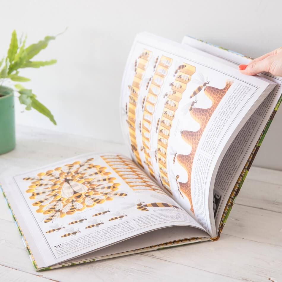Bienen Kinderbuch von Piotr Socha