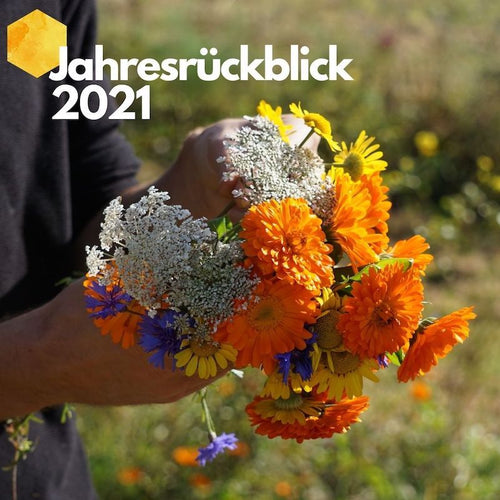 beegut Jahresrückblick 2021