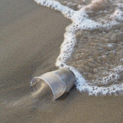 Einwegplastik-Verbot ab 3. Juli – was ändert sich in Küche, Supermarkt und Imbissbude?