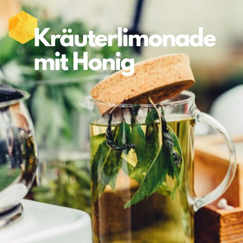 Wilde Kräuterlimonade mit Honig selber machen