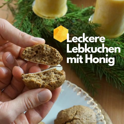 Lebkuchen Rezept mit Honig
