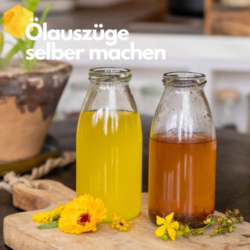 Ölauszüge (Mazerat) selber machen