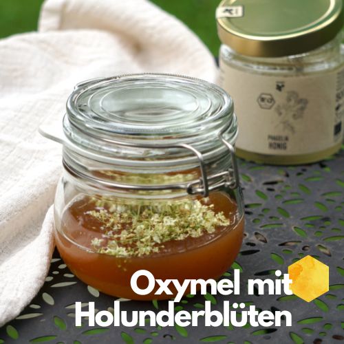 Rezept: Holunderblüten-Oxymel