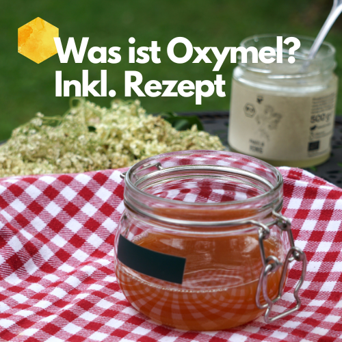 Oxymel: Sauerhonig mit Tradition