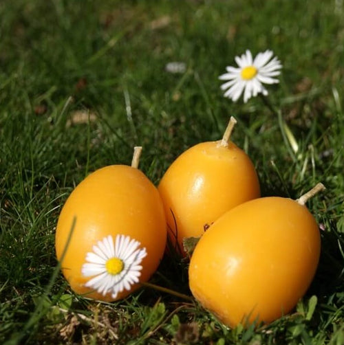 DIY Osterdeko: Eierkerzen selber machen