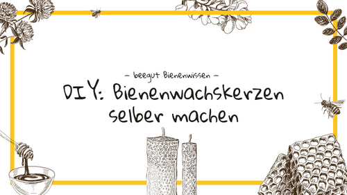 Bienenwachskerzen selber machen DIY Anleitung