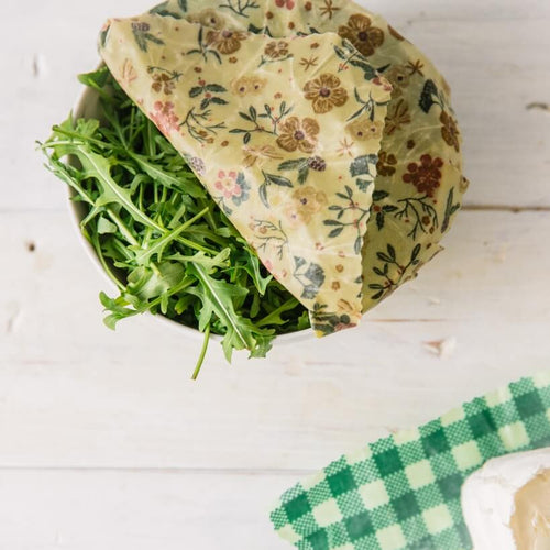 Rucola aufbewahren - so bleibt er länger frisch!