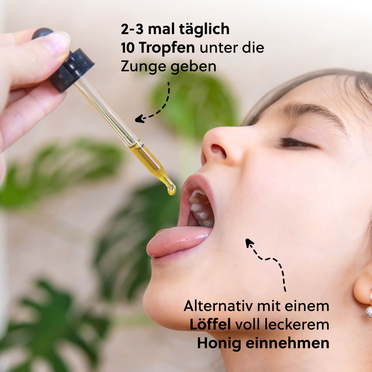 Propolis: das Schutzharz der Bienen=>Mit Propolis versiegeln die Bienen ihren Bienenstock, halten Eindringlinge fern und schützen ihr Volk auf natürliche Weise vor Keimen und Krankheiten. 