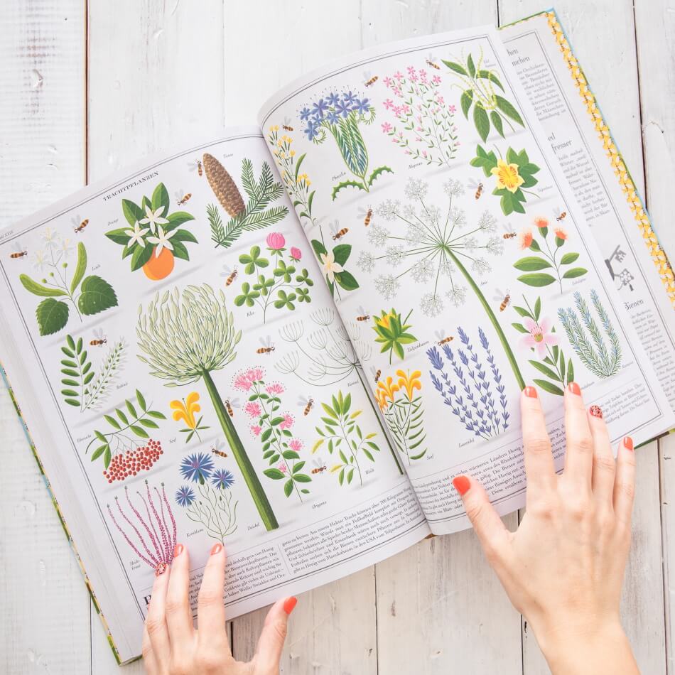 Bienen Kinderbuch von Piotr Socha