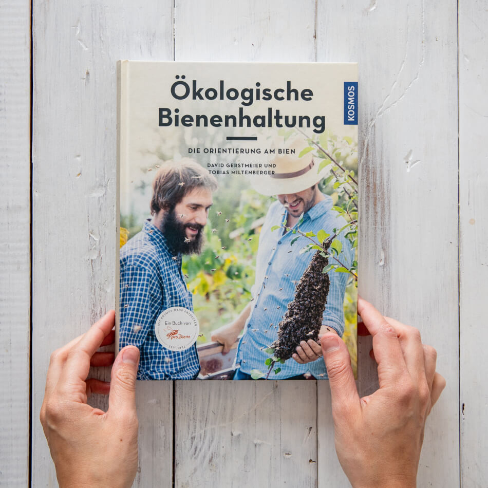 Ökologische Bienenhaltung, die Orientierung am Bien